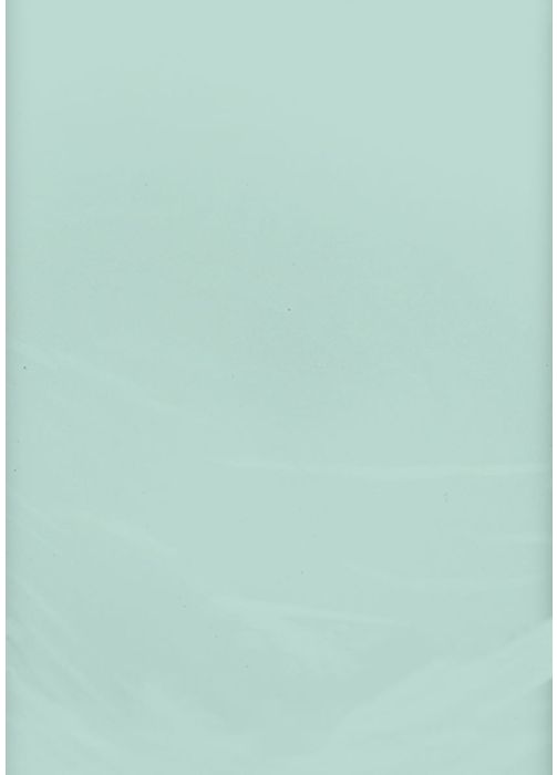 Foliowy obrus jasnozielony MIĘTA (137x274cm)