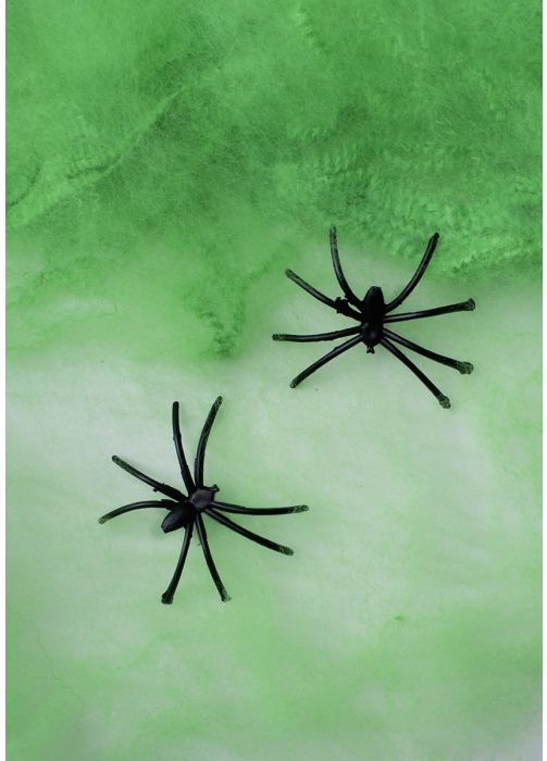 Sieć pająka zielona