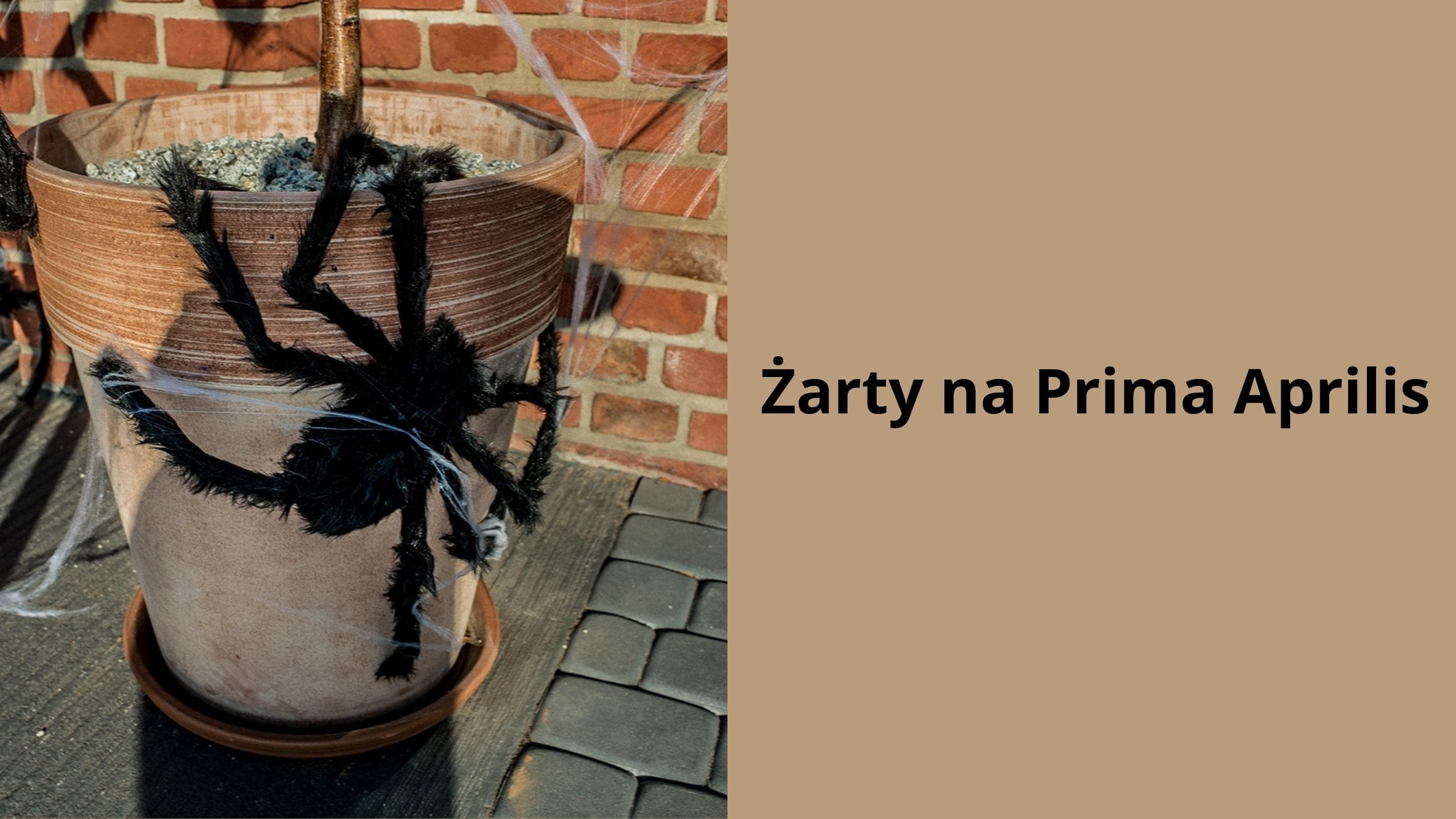 Żarty na Prima Aprilis