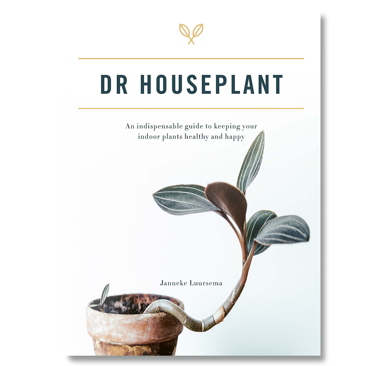 Ksika o rolinach domowych - Dr. Houseplant