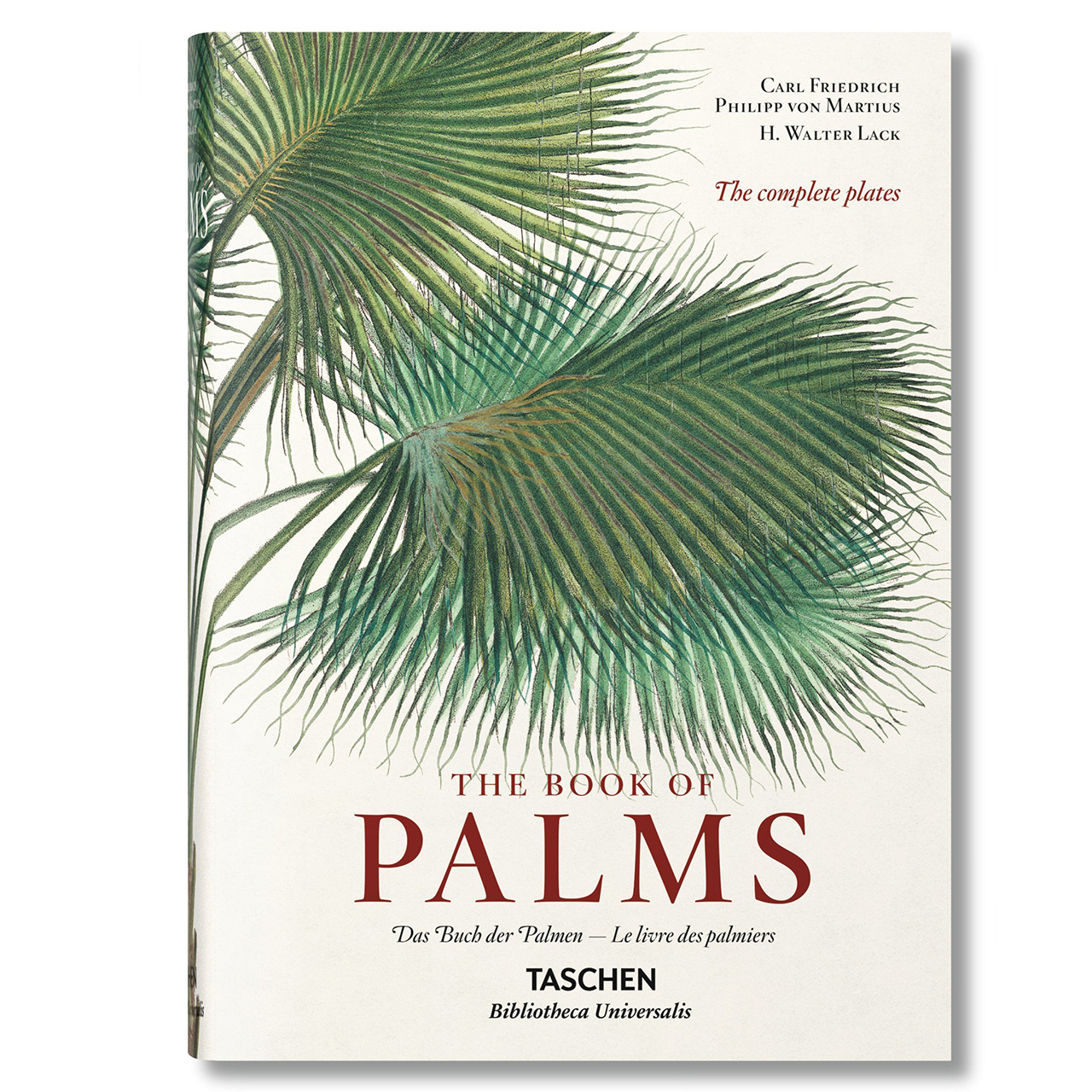 The Book of Palms - ksika dla mionika rolin