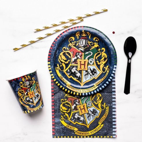 Harry Potter Party, czyli impreza w stylu Harrego Pottera - Partybox blog