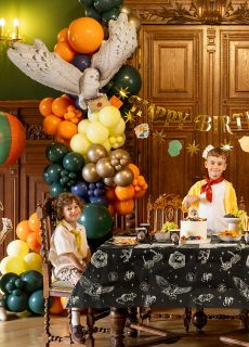 Balon foliowy HEDWIGA Harry Potter 