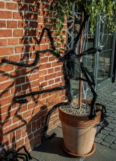Dekoracja na Halloween PAJK czarny 150cm 
