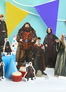 Dekoracja sto�u HARRY POTTER (9szt.)