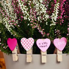 Klamerki drewniane mini IT'S MY HEART (10szt.)