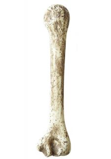 Ko�� 35cm