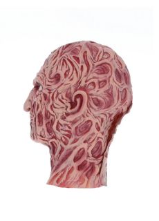 Straszna maska na Halloween KOSZMAR Z ULICY WI�Z�W maska Halloween maska horror przebranie Halloween