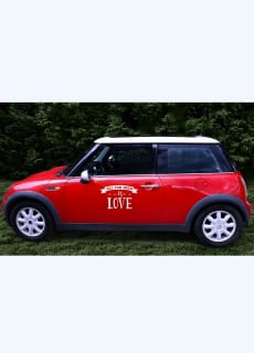 Naklejka na samoch�d ALL YOU NEED IS LOVE
