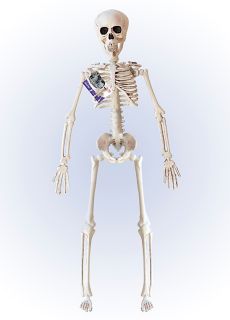 Plastikowy SZKIELET wisz�cy 40 cm dekoracje halloween szkielet halloween plastikowy szkielet ozdoby na halloween