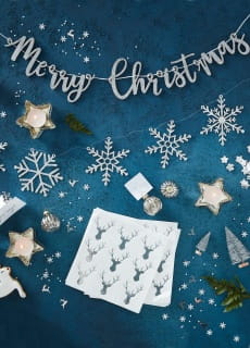 Serwetki CHRISTMAS METALLICS srebrne 25cm (20szt.)