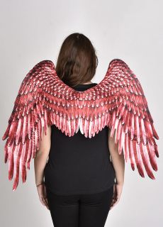 Skrzyd�a demona czerwone 