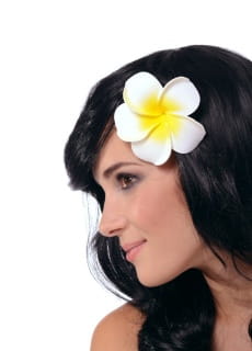 Spinka KWIAT HAWAJSKI orchidea