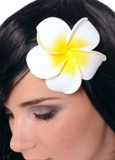 Spinka KWIAT HAWAJSKI orchidea