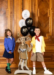 Stoj�cy balon foliowy ZGREDEK 54x105cm