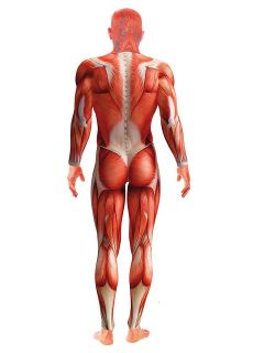 Przebranie na halloween ANATOMIA - M