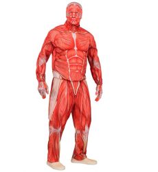 Str�j MIʦNIE Anatomia S kostium halloween realistyczny nadruk mi�ni
