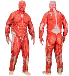 Str�j MIʦNIE Anatomia XL kostium halloween realistyczny nadruk mi�ni