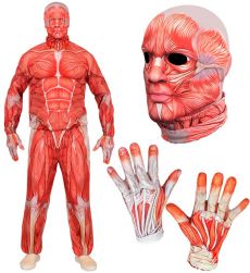 Str�j MIʦNIE Anatomia XXL kostium halloween realistyczny nadruk mi�ni