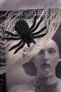 Biaa zasona dekoracyjna na Halloween