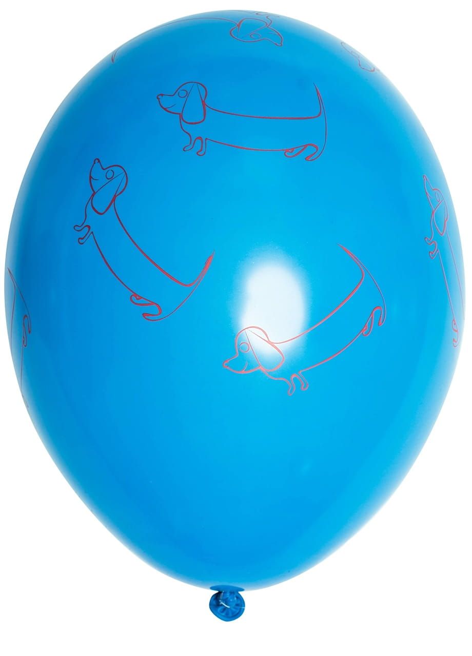 Balony JAMNIK niebieskie (5szt.)