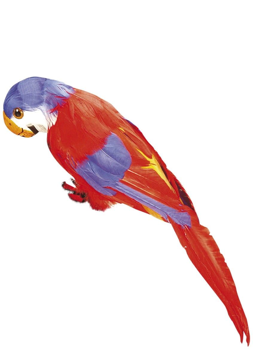 Sztuczna papuga