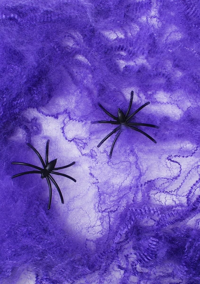 Sieć pająka fioletowa