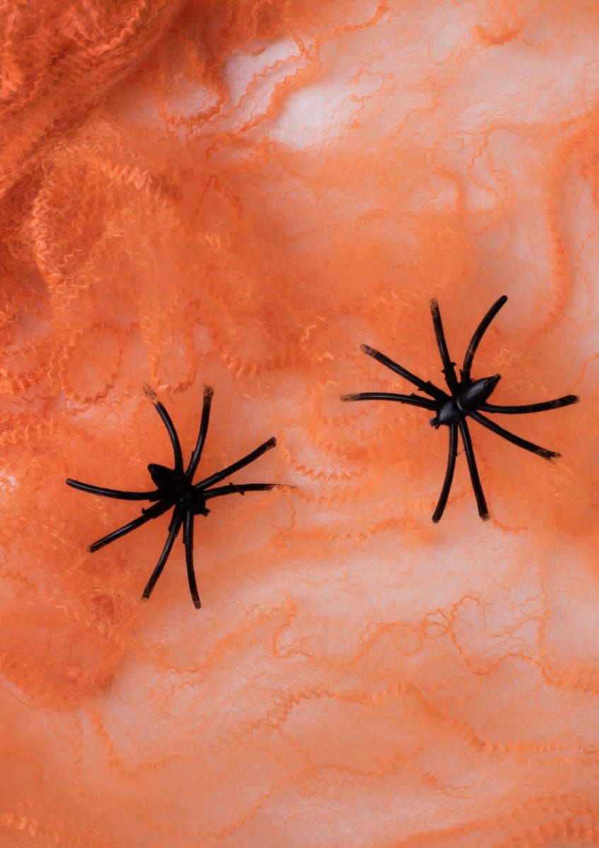 Sieć pająka pomarańczowa