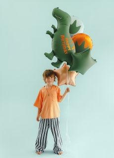 Zestaw balon�w DINOZAUR dekoracje na urodziny ch�opca balony dinozaury balony z dinozaurami
