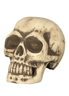 Halloweenowa CZASZKA z pianki