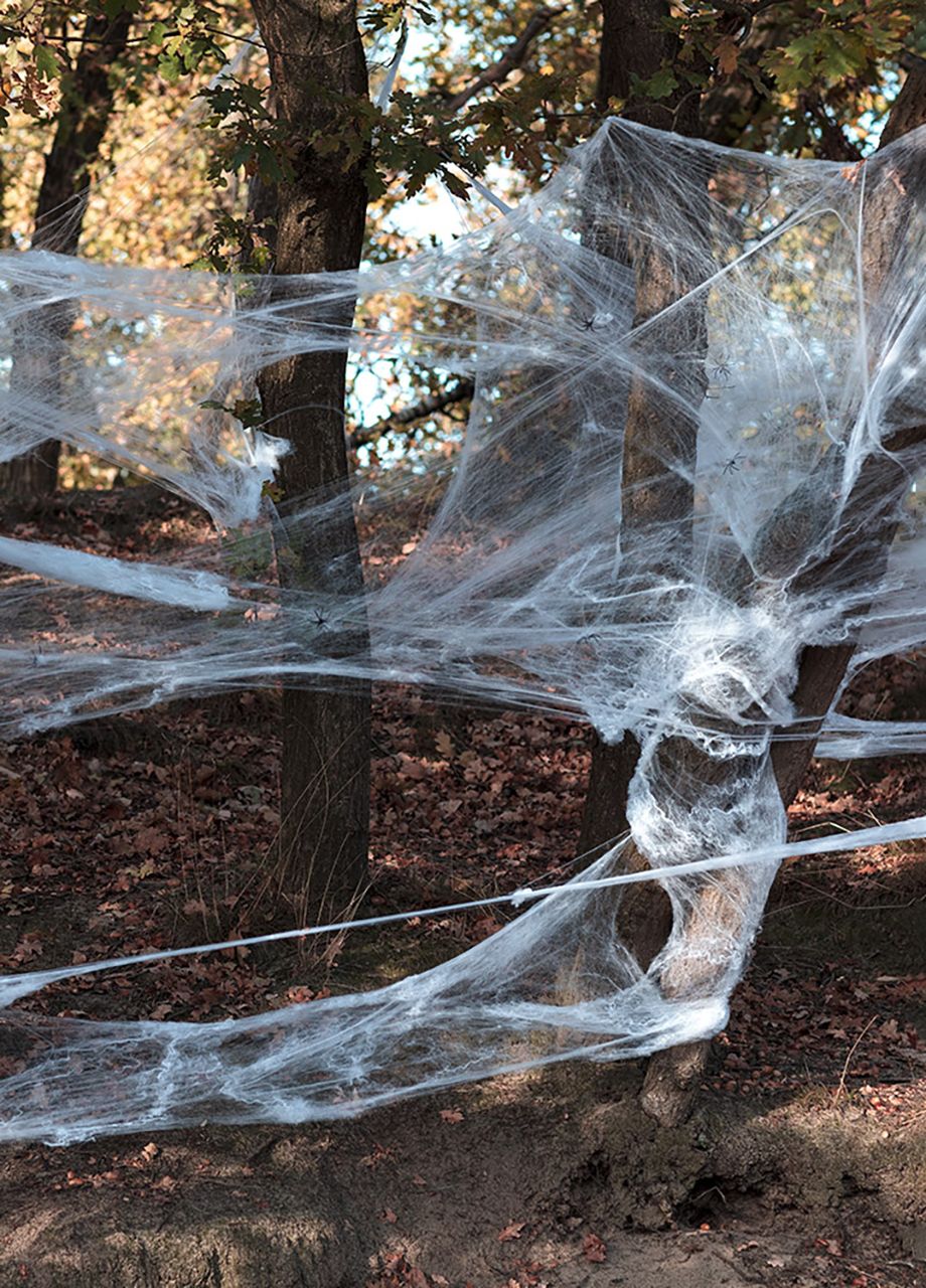 Duża sztuczna pajęczyna z pająkami Halloween 500g