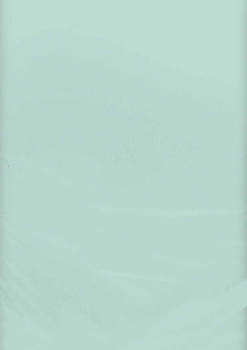 Foliowy obrus jasnozielony MIĘTA (137x274cm)