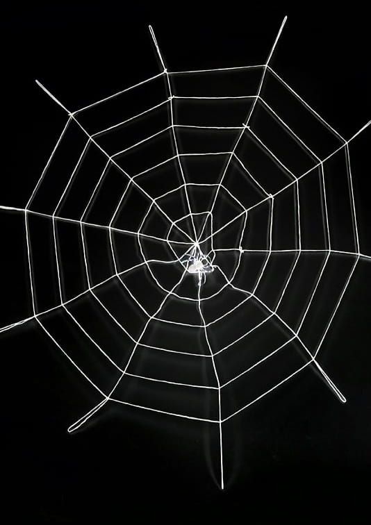 Pajęczyna z pająkiem na HALLOWEEN
