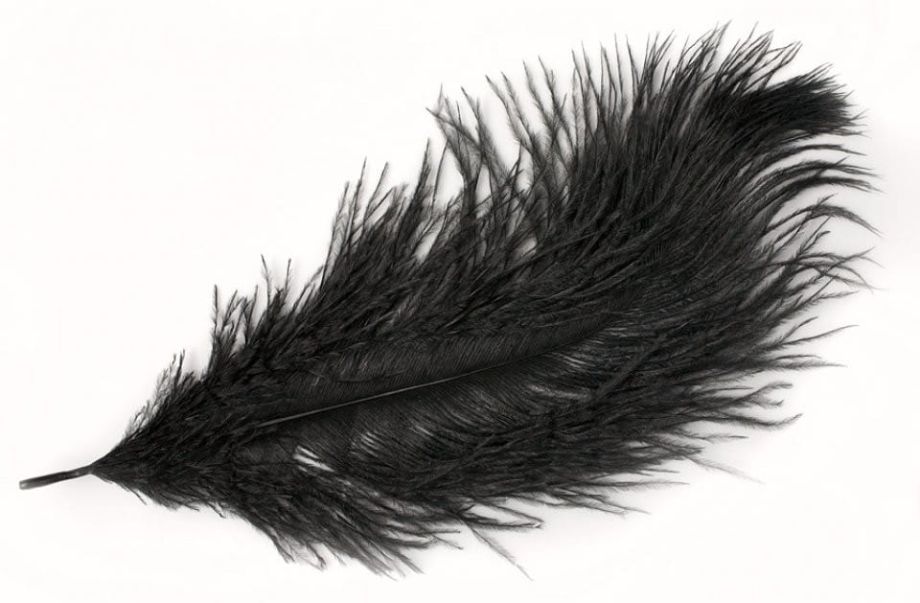 Pióro ozdobne LATA 20 czarne (40cm)