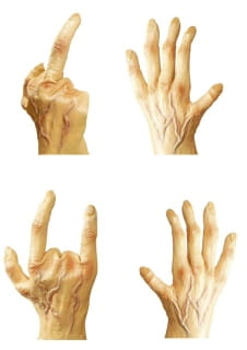 Rkawice WIELKIE APY