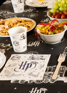 Papierowe serwetki HARRY POTTER be�owe 20 szt.