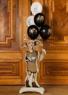 Stoj�cy balon foliowy ZGREDEK 54x105cm