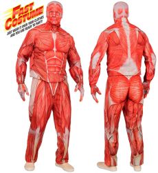 Str�j MIʦNIE Anatomia - S