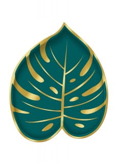 Talerzyki li MONSTERA naczynia jednorazowe na imprez (6szt.)