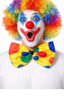 Wielka MEGA MUCHA klauna