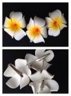 Zdjcie osoby, ktra kupia Spinka KWIAT HAWAJSKI orchidea