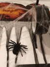 Zdjcie osoby, ktra kupia Dekoracja Halloween SZTUCZNE PAJKI (2szt.)