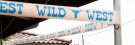 Zdjcie osoby, ktra kupia Tama imprezowa WILD WEST