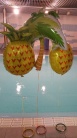 Zdjcie osoby, ktra kupia Balon PALMA foliowy 