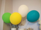 Zdj�cie osoby, kt�ra kupi�a Balony pastelowe BIA�E pure white 30cm (10szt.)